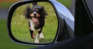 découvrez notre service de récupération de voitures : rapide, efficace et sécurisé. que ce soit pour un dépannage, un enlèvement ou un transport, nous sommes là pour vous accompagner à chaque étape. contactez-nous dès maintenant pour un devis personnalisé.