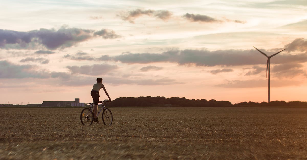 découvrez comment intégrer le développement durable dans votre quotidien avec des pratiques éco-responsables, des astuces pour réduire votre empreinte carbone et des solutions innovantes pour un avenir plus vert.