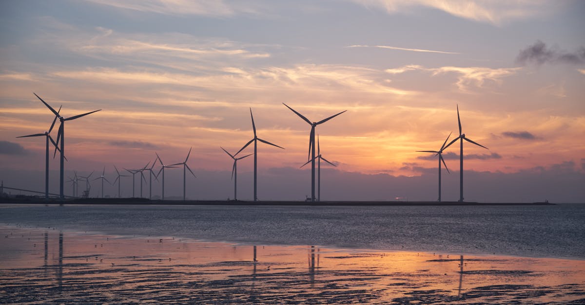 découvrez des pratiques et des solutions durables pour un avenir meilleur. adoptez un mode de vie éco-responsable et participez à la préservation de notre planète tout en profitant d'une qualité de vie améliorée.