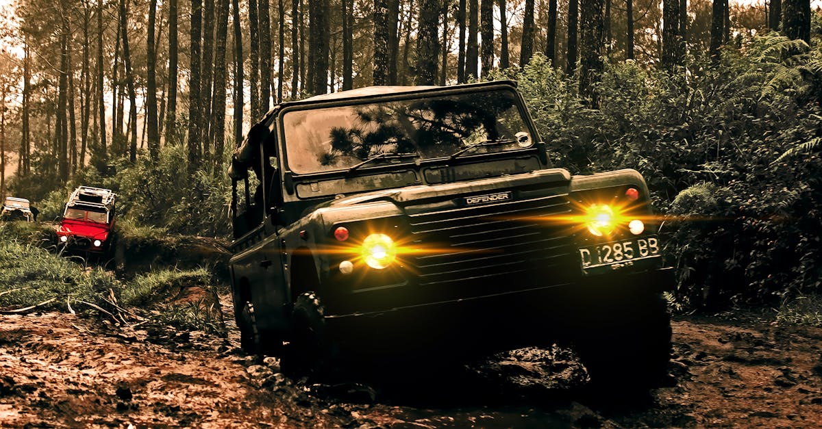 découvrez notre sélection de suv, alliant confort, espace et performances. parfaits pour les familles et les aventuriers, prenez la route avec style et sécurité. trouvez le suv qui correspond à votre style de vie dès aujourd'hui.