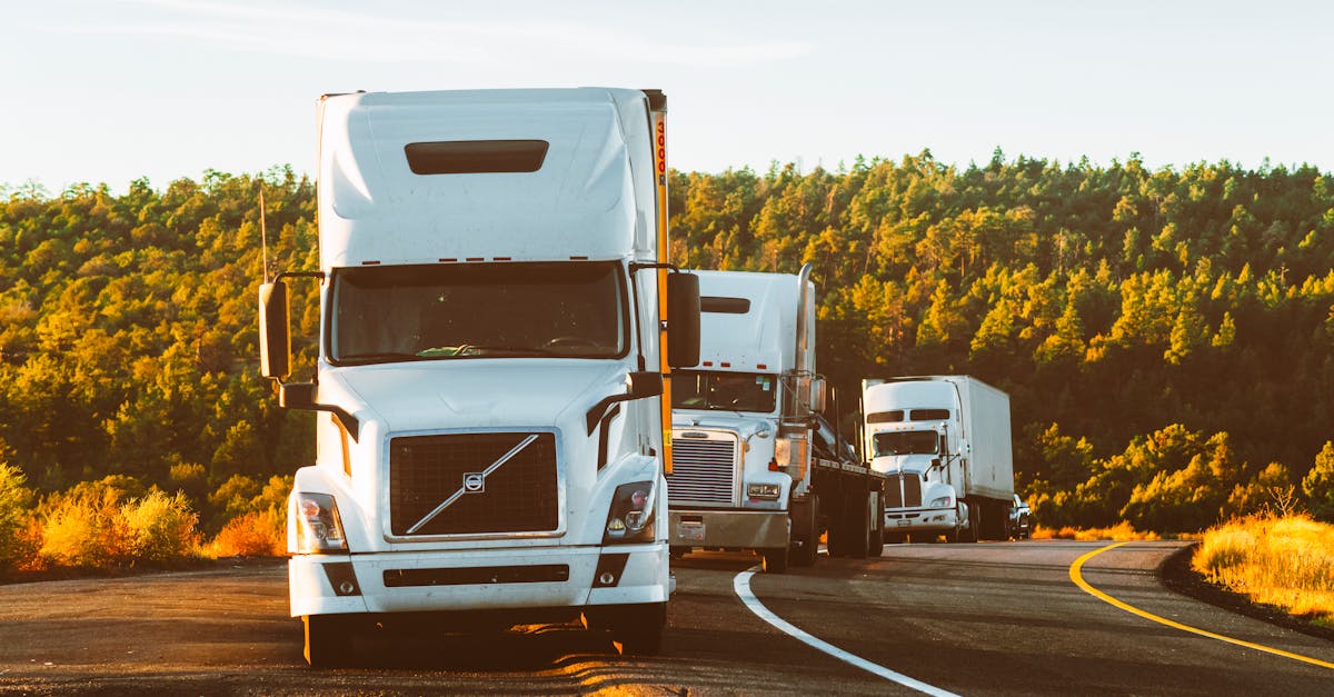 découvrez notre large sélection de véhicules commerciaux adaptés à vos besoins professionnels. des fourgonnettes aux camions, trouvez le partenaire idéal pour le transport de vos marchandises. performance, fiabilité et confort au rendez-vous.