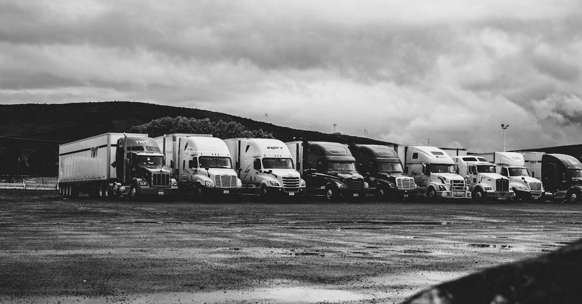 Les incontournables des véhicules utilitaires pour les professionnels