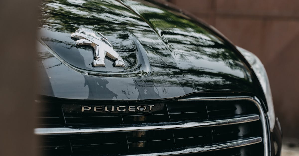 découverte du peugeot 3008 : un SUV au design audacieux et aux performances remarquables
