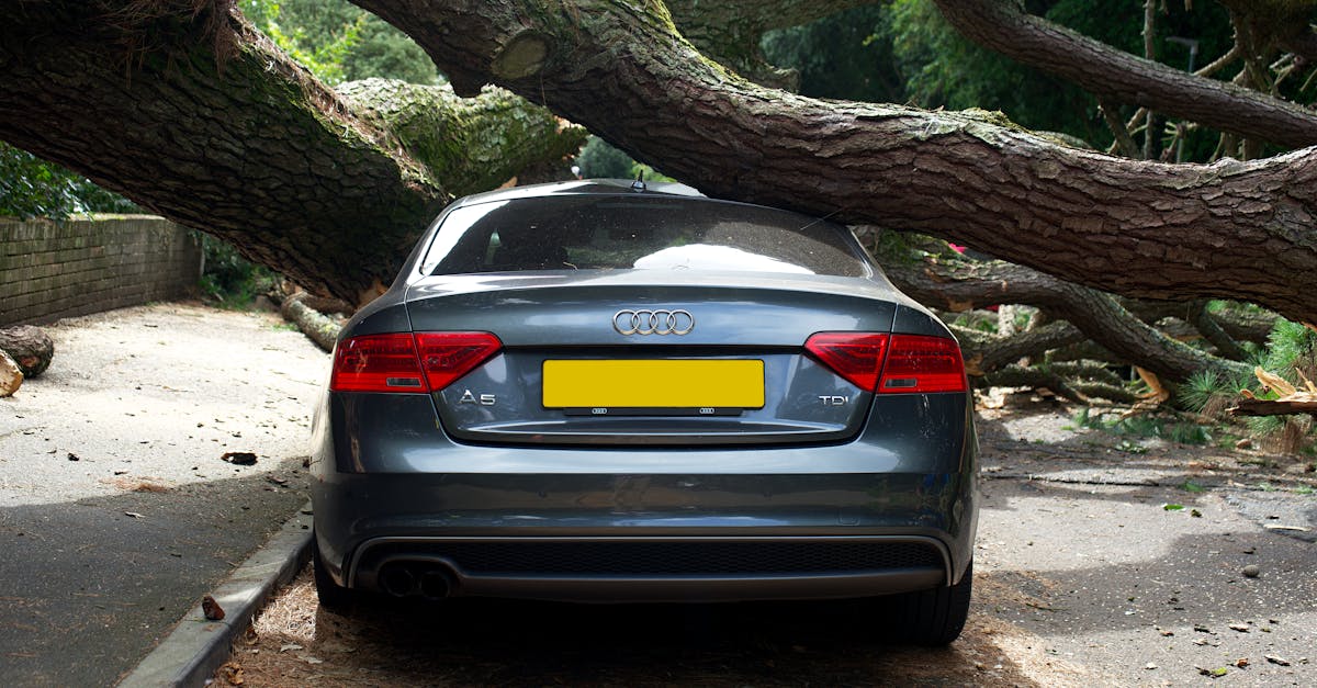 L’audi A5 e-hybrid : la berline familiale se transforme en hybride rechargeable