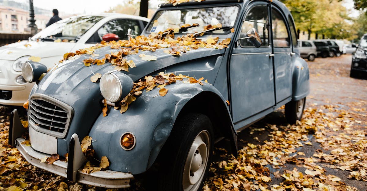 Découverte de la Citroën Ami : tout savoir sur cette voiture électrique sans permis en 9 questions