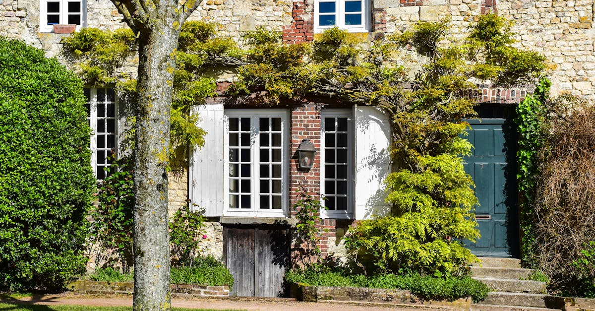 découvrez l'élégance intemporelle de deauville classic, un événement prestigieux alliant passion pour les voitures anciennes et charme normand. plongez dans l'univers des véhicules classiques au cœur de la magnifique ville de deauville.