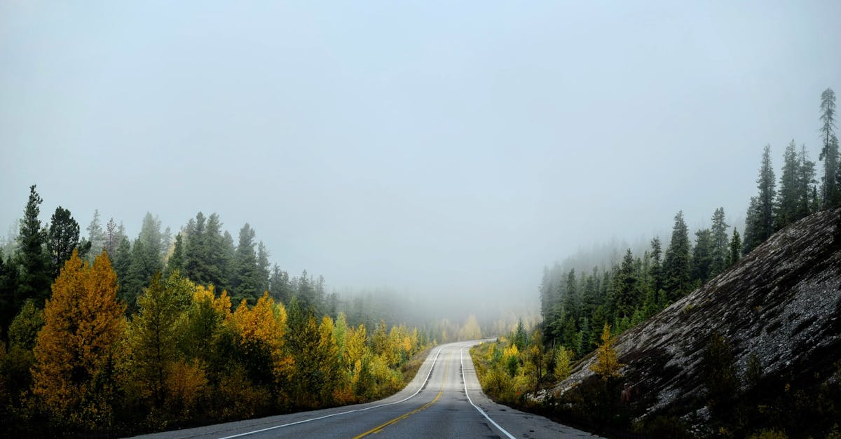 découvrez l'art de la conduite avec nos conseils pratiques, astuces de sécurité routière et techniques pour devenir un conducteur confiant et responsable. explorez nos guides sur les meilleures pratiques de conduite pour tous les types de véhicules.