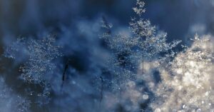 découvrez les différentes saisons et leur impact sur la nature, la culture et nos activités quotidiennes. explorez les changements climatiques, les festivités saisonnières et les traditions qui rendent chaque saison unique.