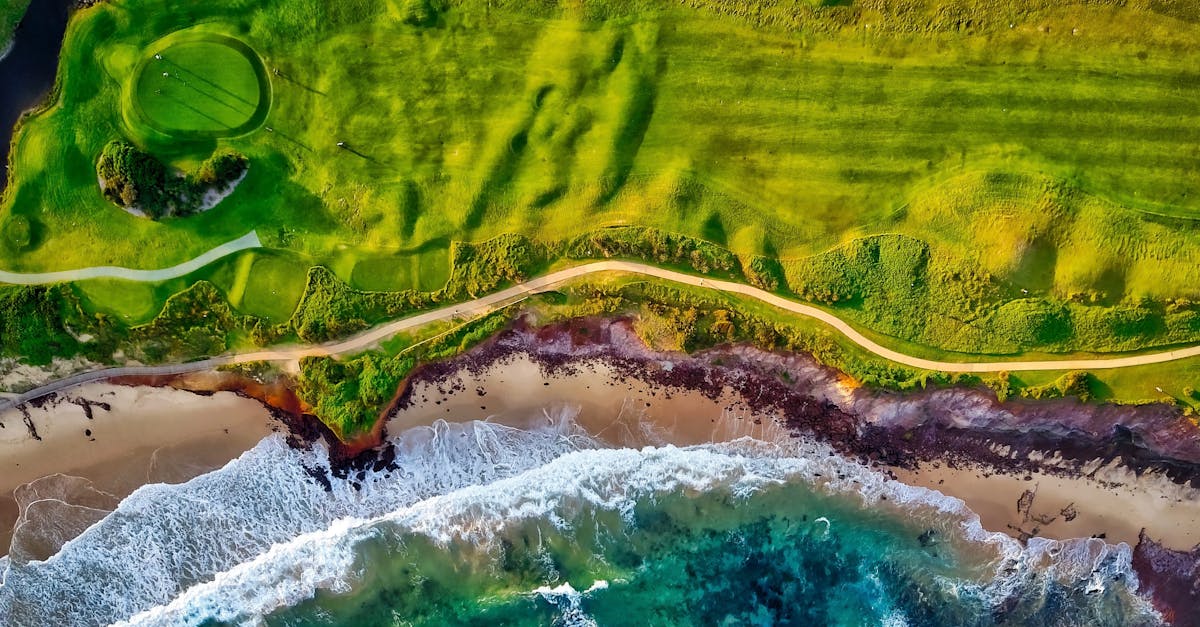 découvrez les dernières tendances et options de livraison pour la golf 8. informez-vous sur les caractéristiques, les délais et les services associés à la livraison du modèle phare de volkswagen. ne manquez pas nos offres exclusives et conseils pour une expérience d'achat optimale.