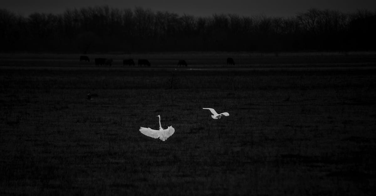 découvrez le concept de pénalité écologique : un mécanisme incitant les entreprises à réduire leur impact environnemental. apprenez comment cette approche contribue à la protection de notre planète et favorise un développement durable.