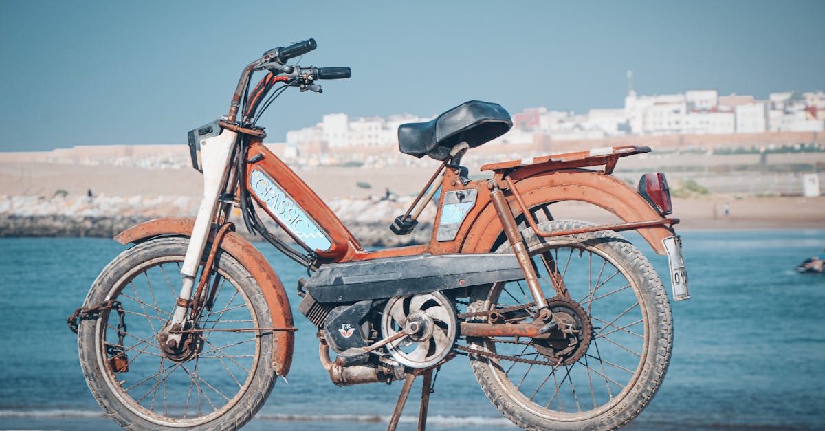 découvrez le peugeot rifter : un ludospace robuste, spacieux et polyvalent, idéal pour les familles et les aventuriers. profitez de son confort, de ses technologies modernes et de sa grande modularité pour tous vos trajets au quotidien.