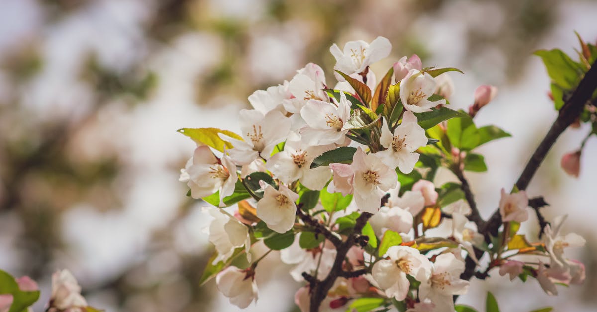 découvrez tout ce qu'il faut savoir sur le malus écologique : définition, fonctionnement, véhicules concernés et conseils pour limiter son impact sur votre budget automobile.