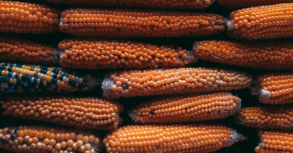 découvrez tout sur l'éthanol : définition, procédés de fabrication, utilisations comme biocarburant, avantages écologiques et impact sur l'environnement. un guide complet pour mieux comprendre cet alcool aux multiples applications.