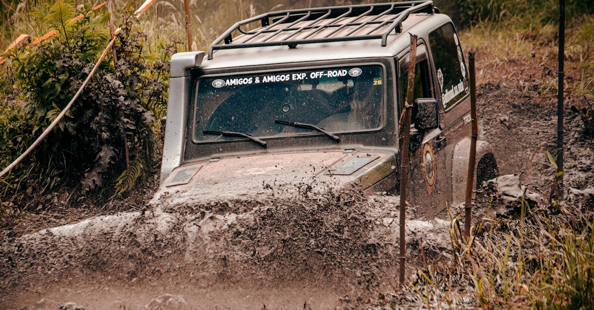 découvrez tout sur la jeep wrangler : caractéristiques, performances, conseils d'achat, prix et avis des conducteurs pour ce 4x4 iconique conçu pour l'aventure, la route et le tout-terrain.