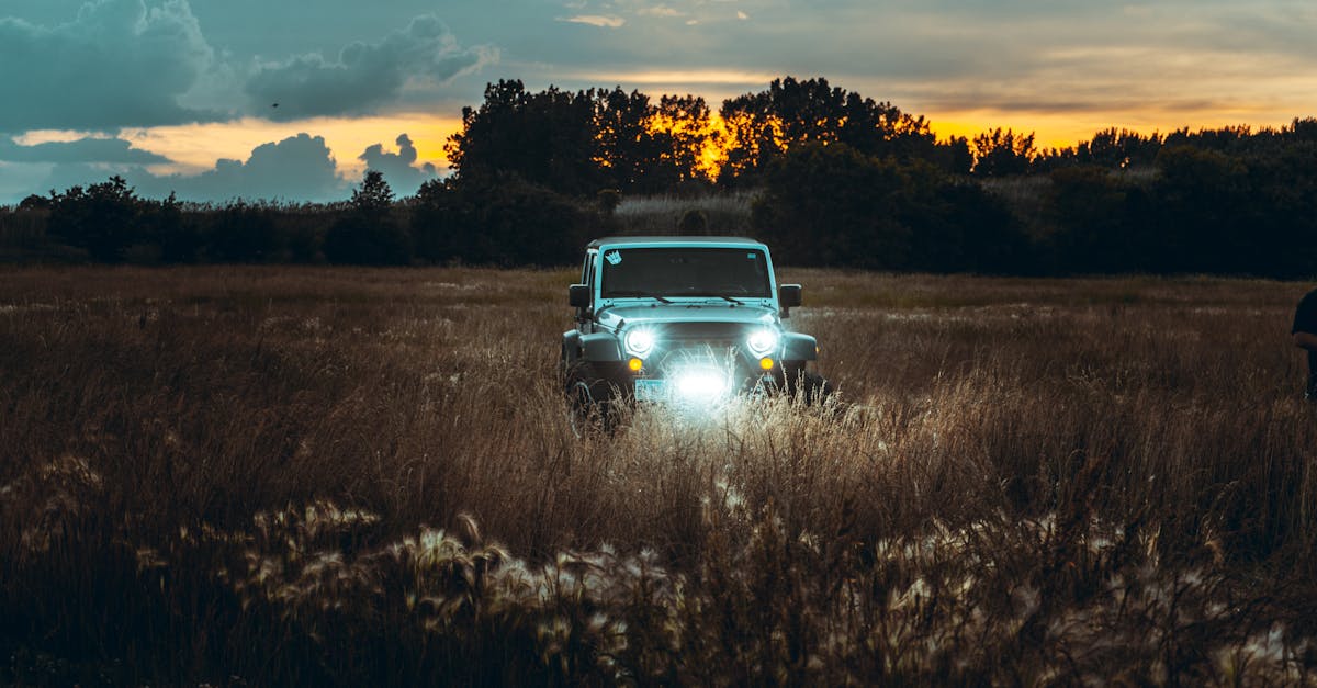 découvrez la jeep wrangler : un 4x4 emblématique conçu pour l’aventure. profitez de sa robustesse, de son style unique et de ses performances exceptionnelles sur route et hors route. idéale pour les amateurs de liberté et de sensations fortes.