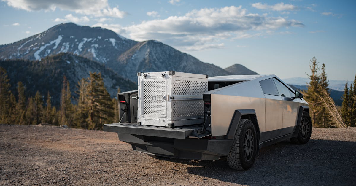 découvrez le cybertruck abordable : performances exceptionnelles, design futuriste et prix compétitif. profitez de toutes les innovations tesla à un tarif accessible. comparatif, fiches techniques et conseils d'achat.