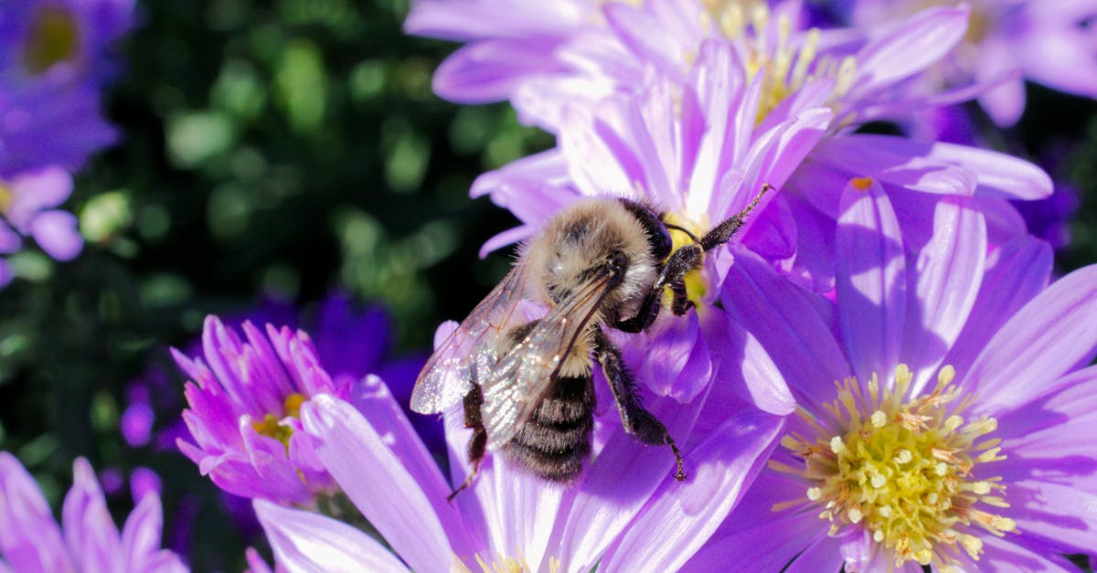 découvrez ce qu'est une ecological penalty : définition, impacts environnementaux, exemples concrets et enjeux pour la protection de la planète. adoptez des solutions durables pour réduire votre empreinte écologique.