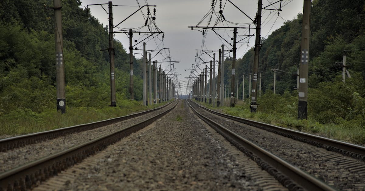 trouvez les dernières infos sur la grève des transports en france : perturbations, prévisions, conseils pour vos déplacements et solutions alternatives pendant la mobilisation.