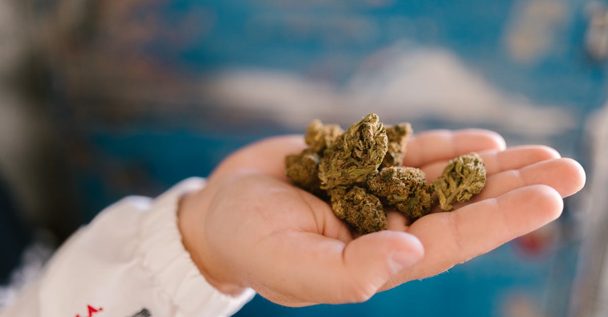 découvrez le dacia duster hybrid, un suv compact alliant performance, économie d'énergie et respect de l'environnement pour une conduite moderne et responsable.