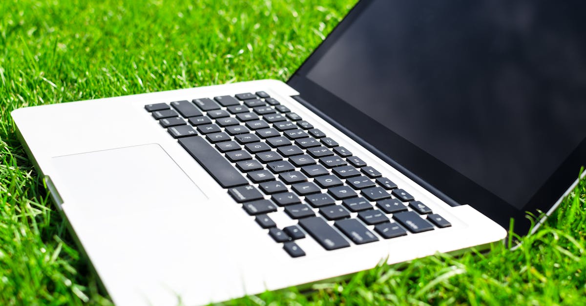 découvrez des solutions de mobilité écologiques et durables pour réduire votre empreinte carbone et préserver l'environnement.