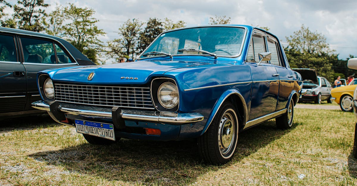 découvrez le ford transit custom : un utilitaire polyvalent, fiable et moderne, idéal pour les professionnels à la recherche de performance, d'espace et de confort au quotidien.