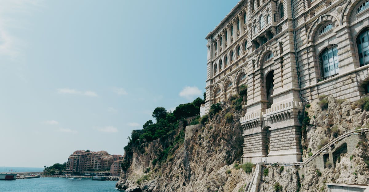 découvrez tout sur le french grand prix 2024 : dates, pilotes, circuit, résultats et actualités en direct de cet événement phare de la formule 1.