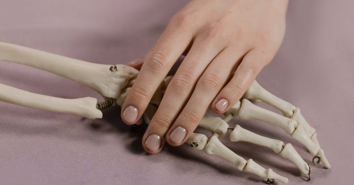 découvrez une comparaison détaillée des modèles honda adv pour choisir le scooter tout-terrain adapté à vos besoins.