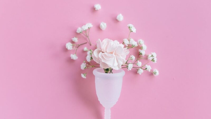 Honda ADV : lequel choisir entre le 350 et le 750 cm3 ?