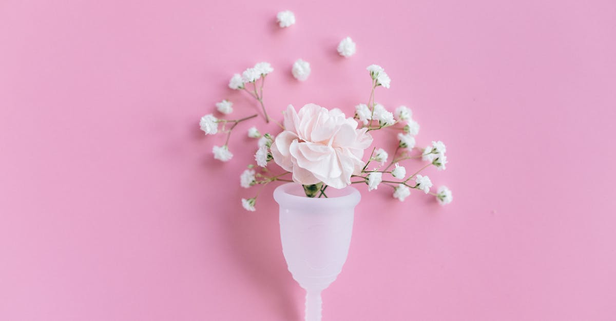 Honda ADV : lequel choisir entre le 350 et le 750 cm3 ?