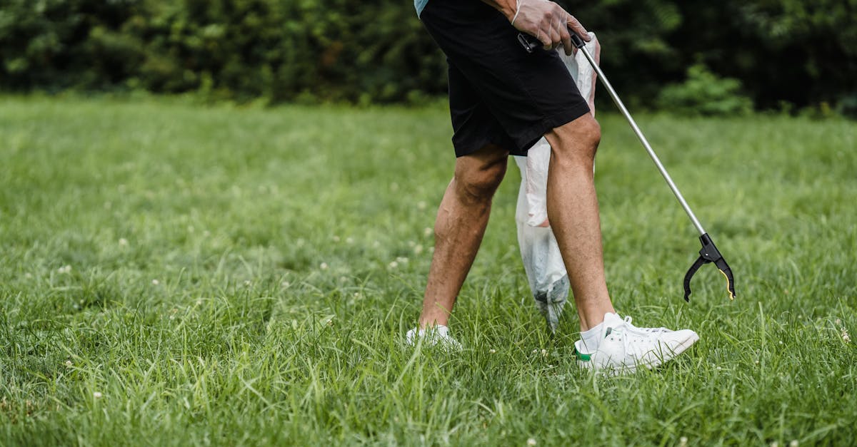 découvrez la peugeot 206 plus : une citadine pratique, économique et élégante. profitez de ses performances, de son confort et de sa fiabilité pour tous vos déplacements quotidiens.