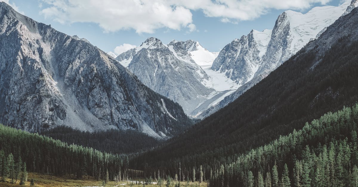 découvrez le range rover evoque p300e, le suv hybride rechargeable qui allie luxe, performance et technologie avancée. profitez d'une conduite élégante et écoresponsable avec ce modèle emblématique.