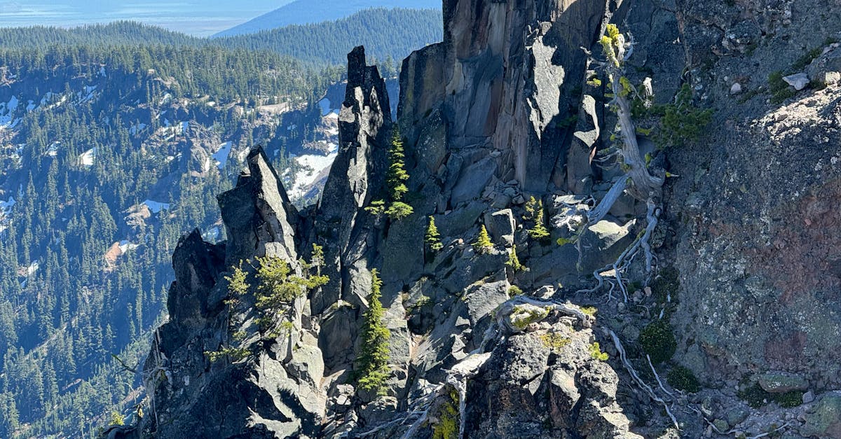 découvrez la fiabilité du range rover evoque : performances, entretien et avis des conducteurs pour vous aider à faire le meilleur choix.