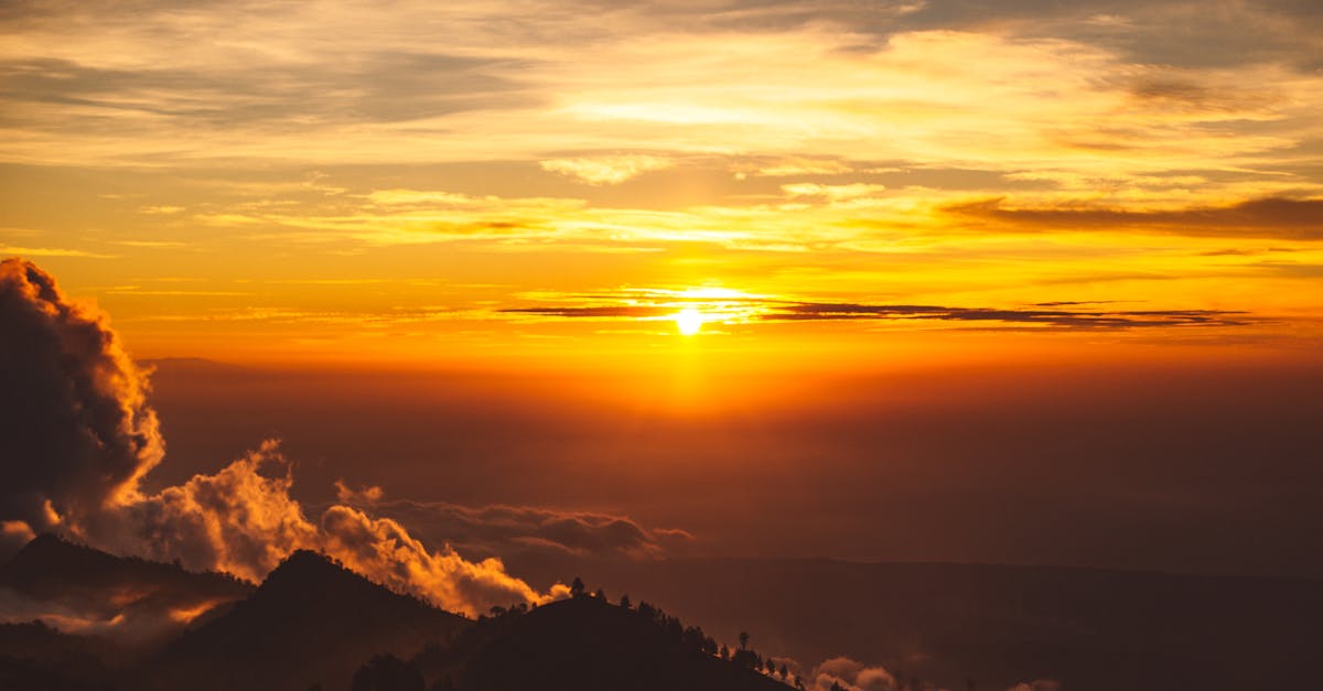 découvrez la fiabilité du range rover evoque, un suv compact alliant performance, confort et technologie avancée pour une expérience de conduite sûre et durable.