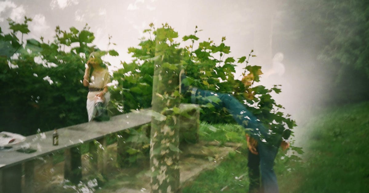 découvrez l'univers de sébastien loeb, légende du rallye et multiple champion du monde, avec ses exploits, sa carrière et ses records impressionnants.