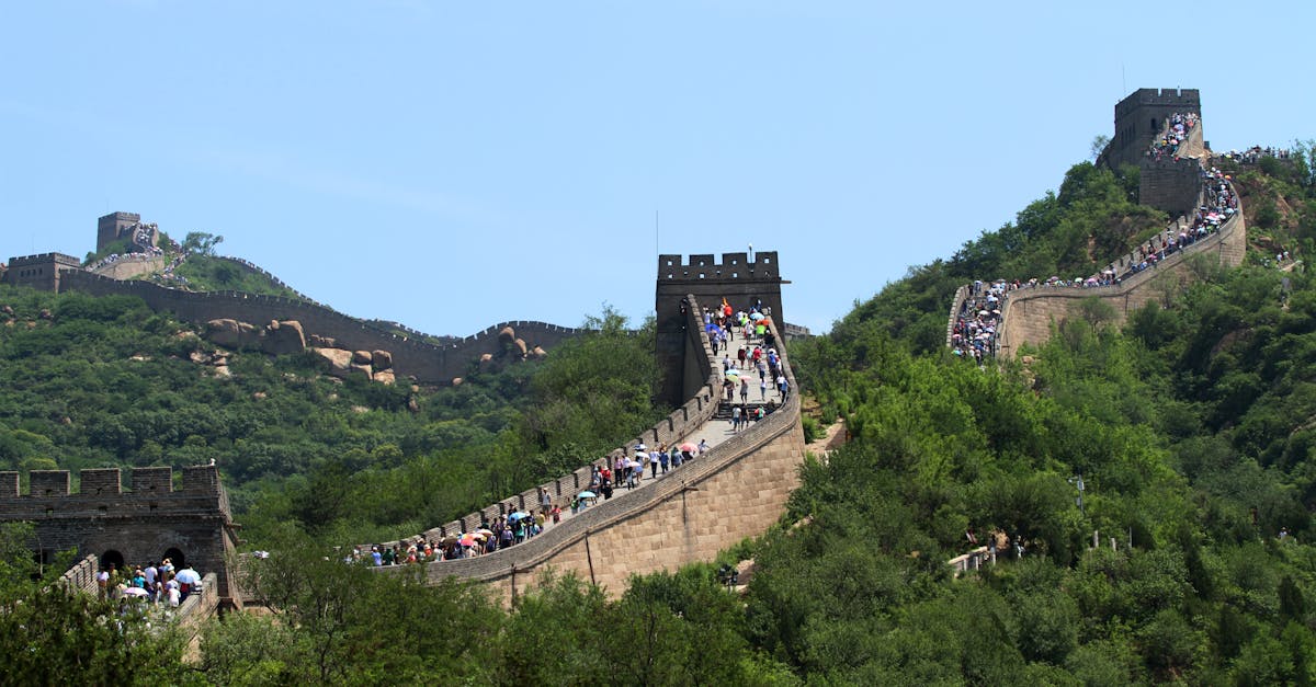 découvrez nos tarifs compétitifs et transparents adaptés à vos besoins. explorez nos offres pour bénéficier du meilleur rapport qualité-prix.