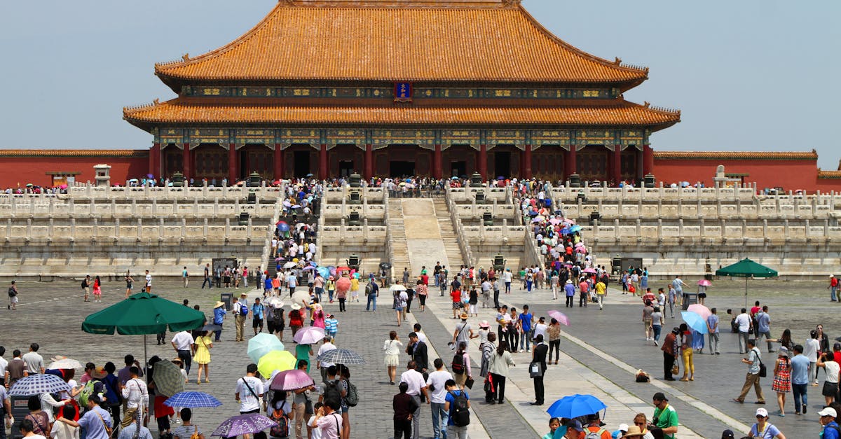 découvrez nos tarifs compétitifs et adaptés à vos besoins pour profiter de nos services de qualité.