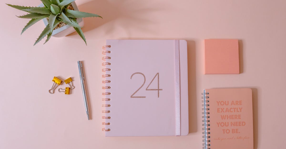 découverte de la fiche technique du toyota c-hr 1.8 140ch dynamic 2024