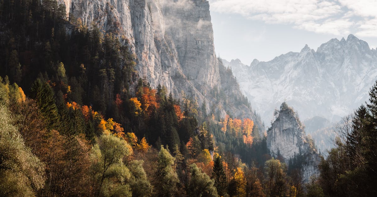 découvrez tout ce qu'il faut savoir sur les coûts de voyage : astuces pour économiser, budgets détaillés, destinations abordables et conseils pratiques pour bien planifier vos dépenses lors de vos prochains déplacements.