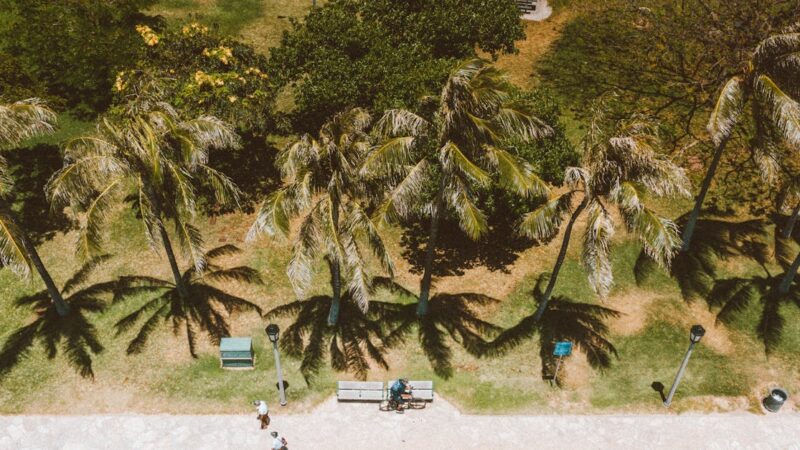 Les coûts des vacances en voiture décryptés : carburant, péages et plus encore