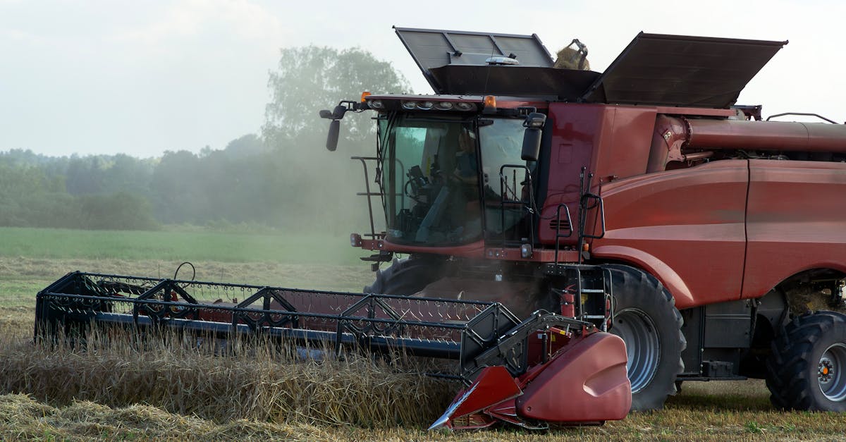 découvrez à quelle fréquence remplacer le filtre de votre véhicule pour assurer une performance optimale et prolonger la durée de vie de votre moteur.