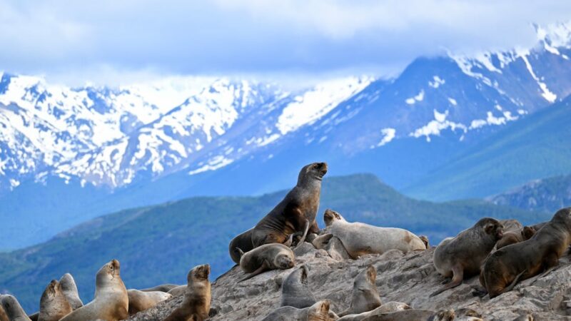 découverte de l’alpine a110 : une icône de performance et de modernité