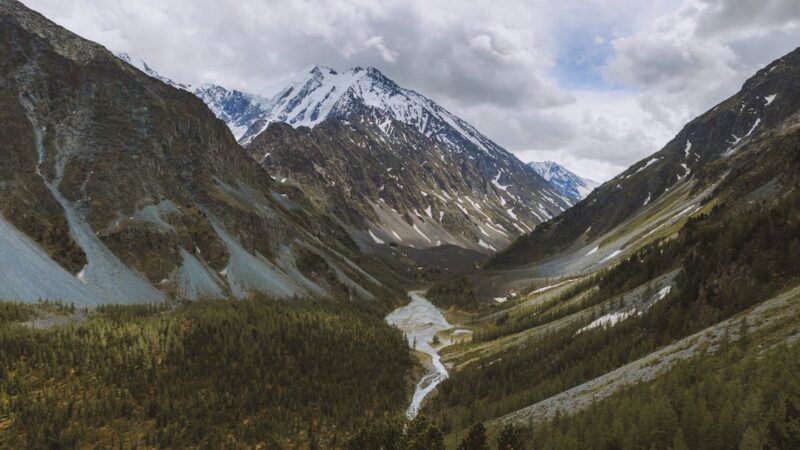 Alpine A110 R Ultime : découvrez le prix incroyable de cette sportive française de 325 chevaux !