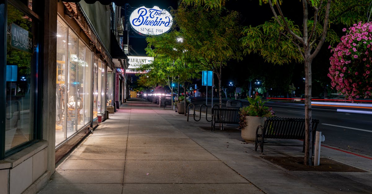découvrez la dacia logan, une voiture fiable, spacieuse et économique, idéale pour vos trajets quotidiens et vos aventures en famille.