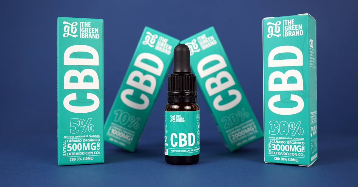 découvrez la dacia sandero iii 1.0 eco-g 100hp lpg, une voiture économique et écologique offrant performance et confort avec une motorisation au gaz naturel liquéfié.