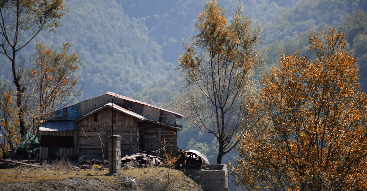découvrez la nissan micra 2025 : design moderne, technologies avancées et performances optimisées pour une expérience de conduite exceptionnelle.