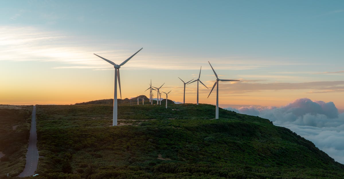 découvrez le prix de la renault 4 électrique, une voiture iconique revisitée pour une mobilité durable et innovante.