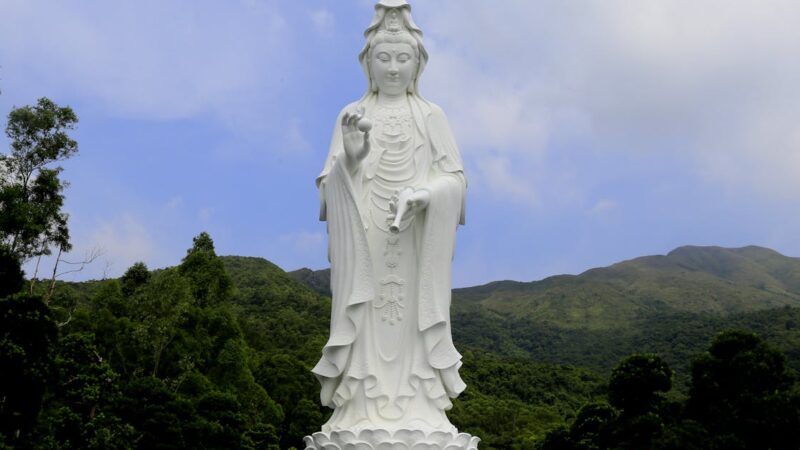 Grand Prix de Chine 2025 : Oscar Piastri triomphe et s’impose sur le circuit