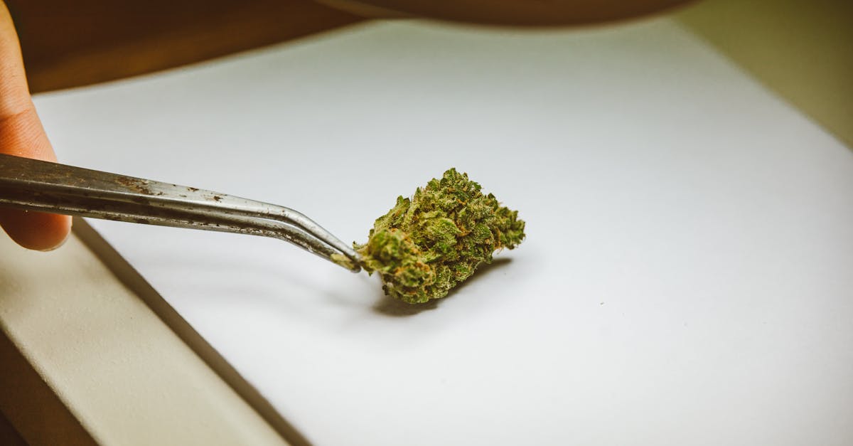 découvrez le prix de la citroën c3 hybrid, une voiture compacte et écologique alliant performance et économie d'énergie. comparez les offres et trouvez la meilleure option pour votre budget.