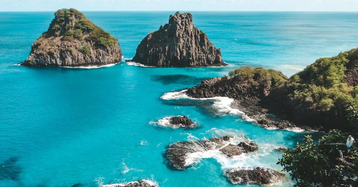 découvrez la carrière et les exploits de fernando alonso, pilote espagnol de formule 1 double champion du monde, reconnu pour son talent et sa détermination sur les circuits.