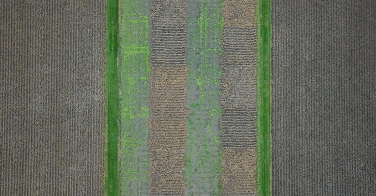 découvrez le land rover velar, un suv alliant design élégant, technologie avancée et performances tout-terrain pour une expérience de conduite unique.